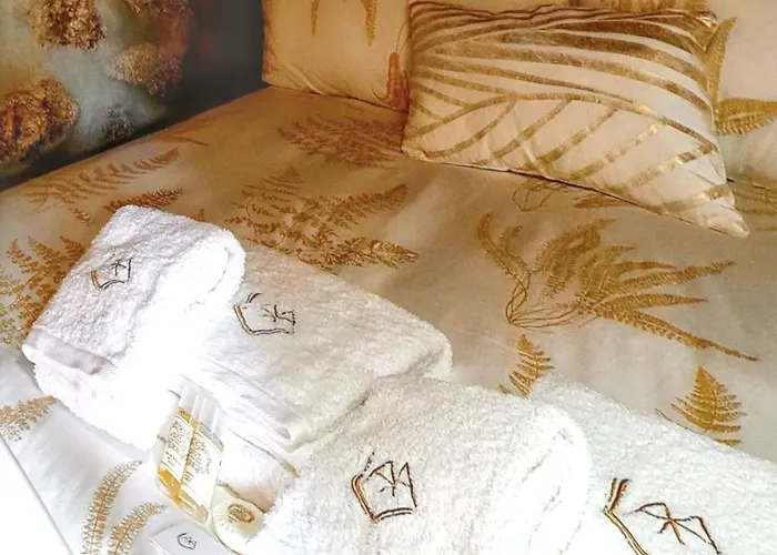 Welcoming House In Agueda With Shared Pool 70 M² *